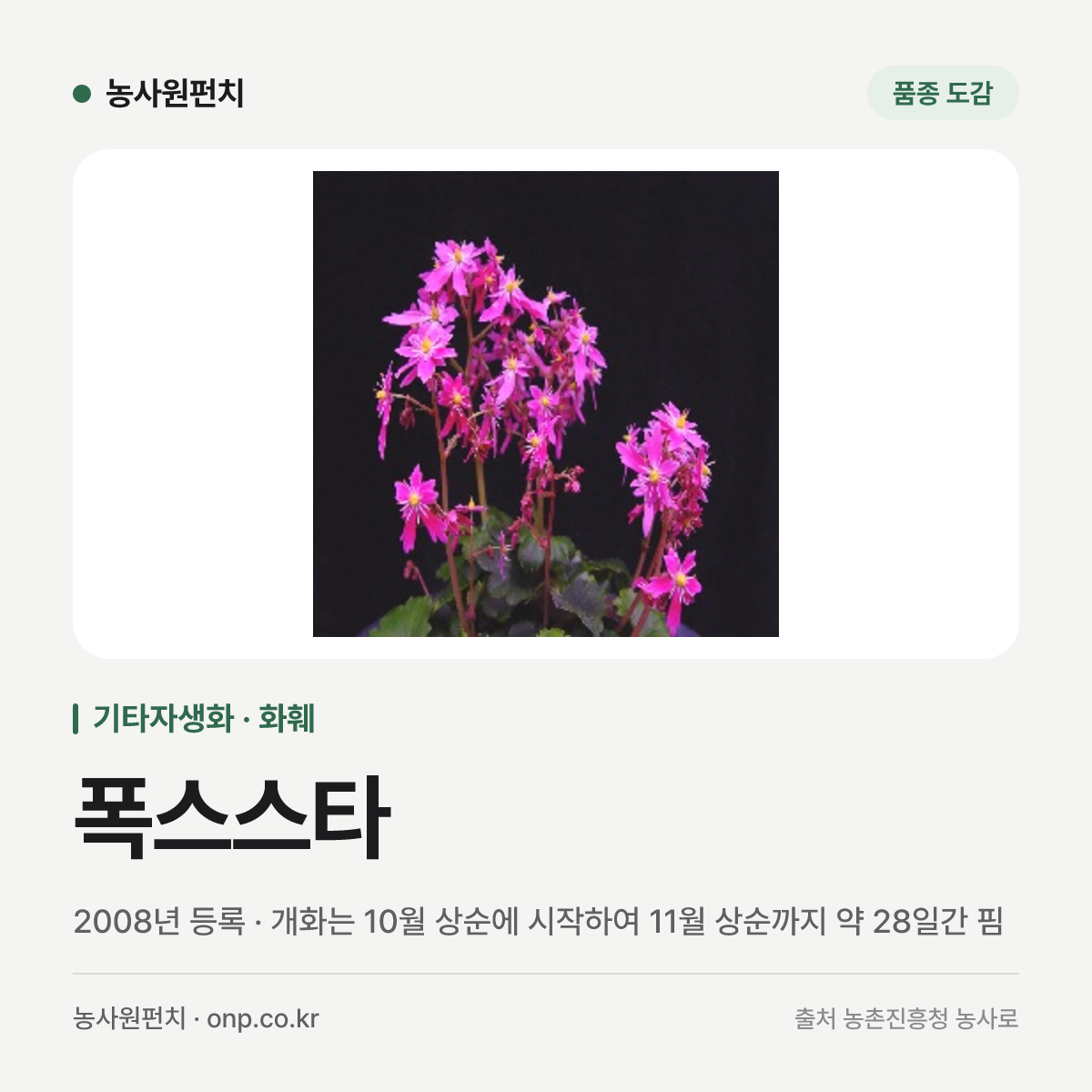 폭스스타