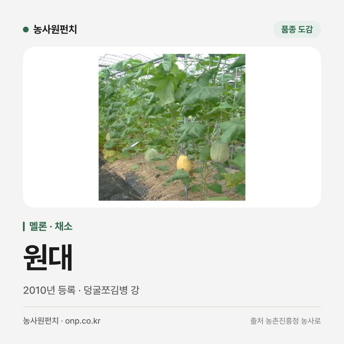 원대