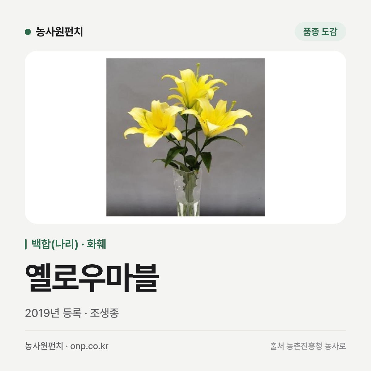 옐로우마블