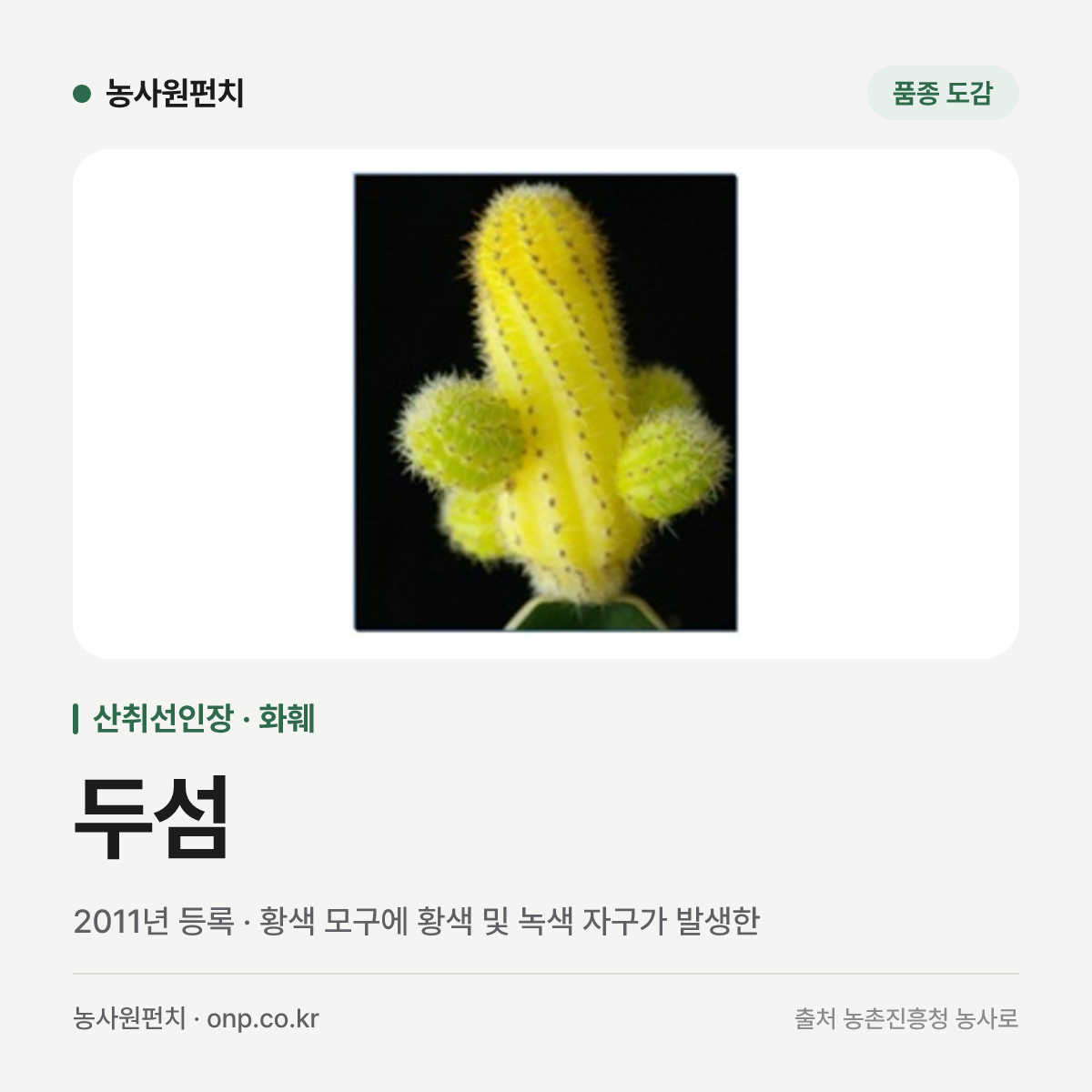 두섬