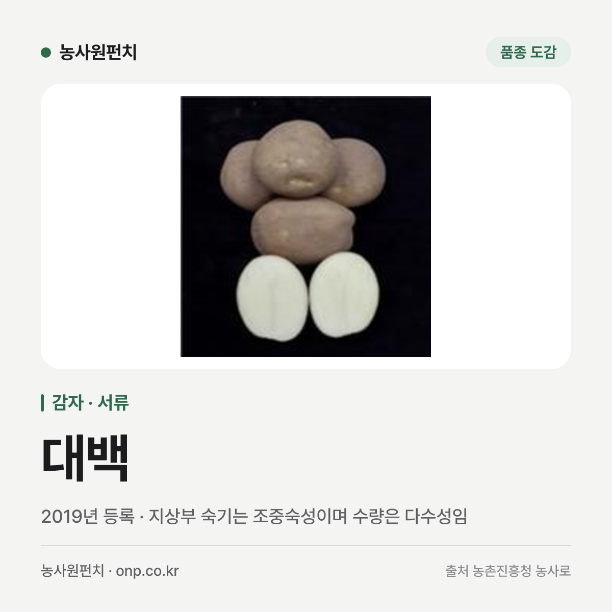 대백