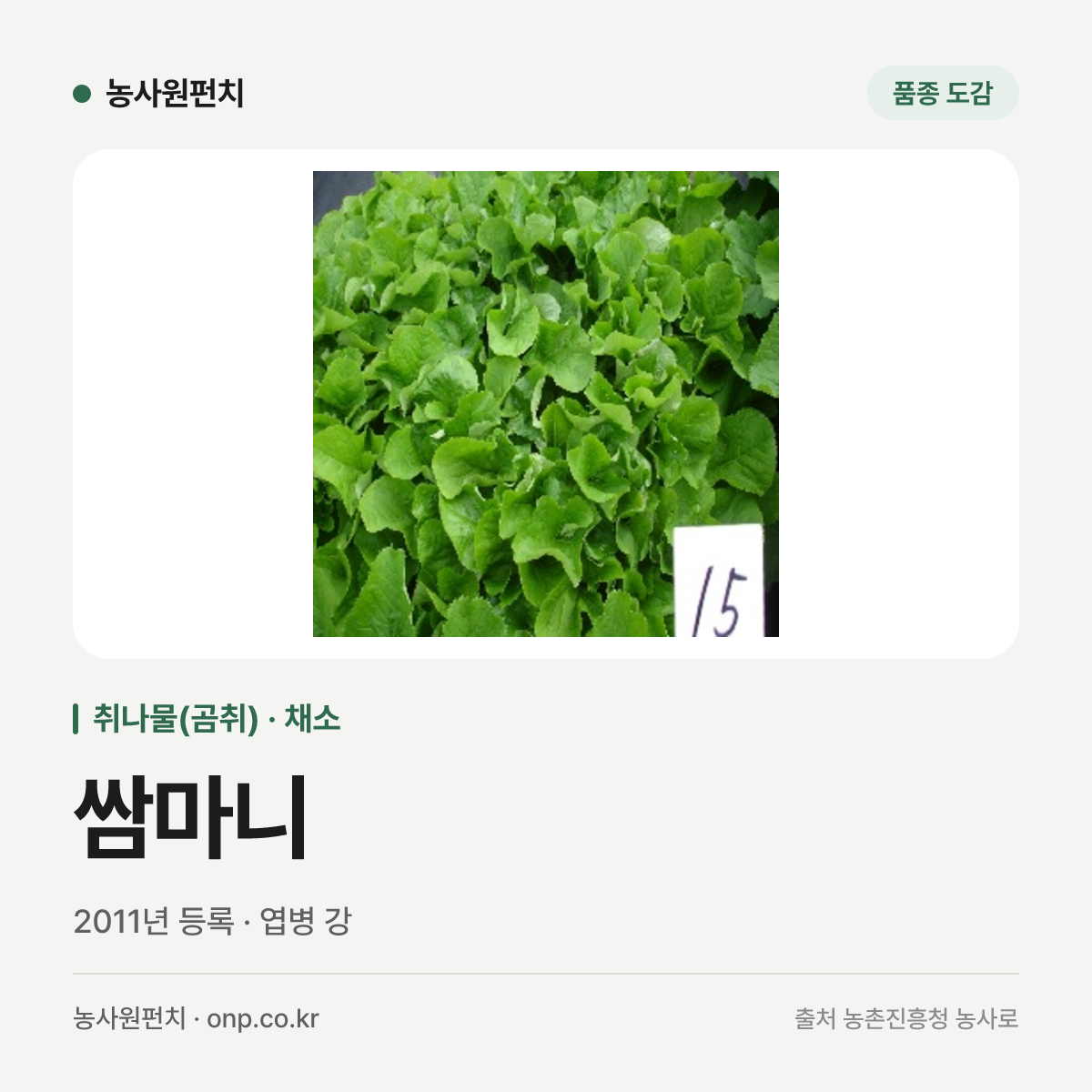 쌈마니