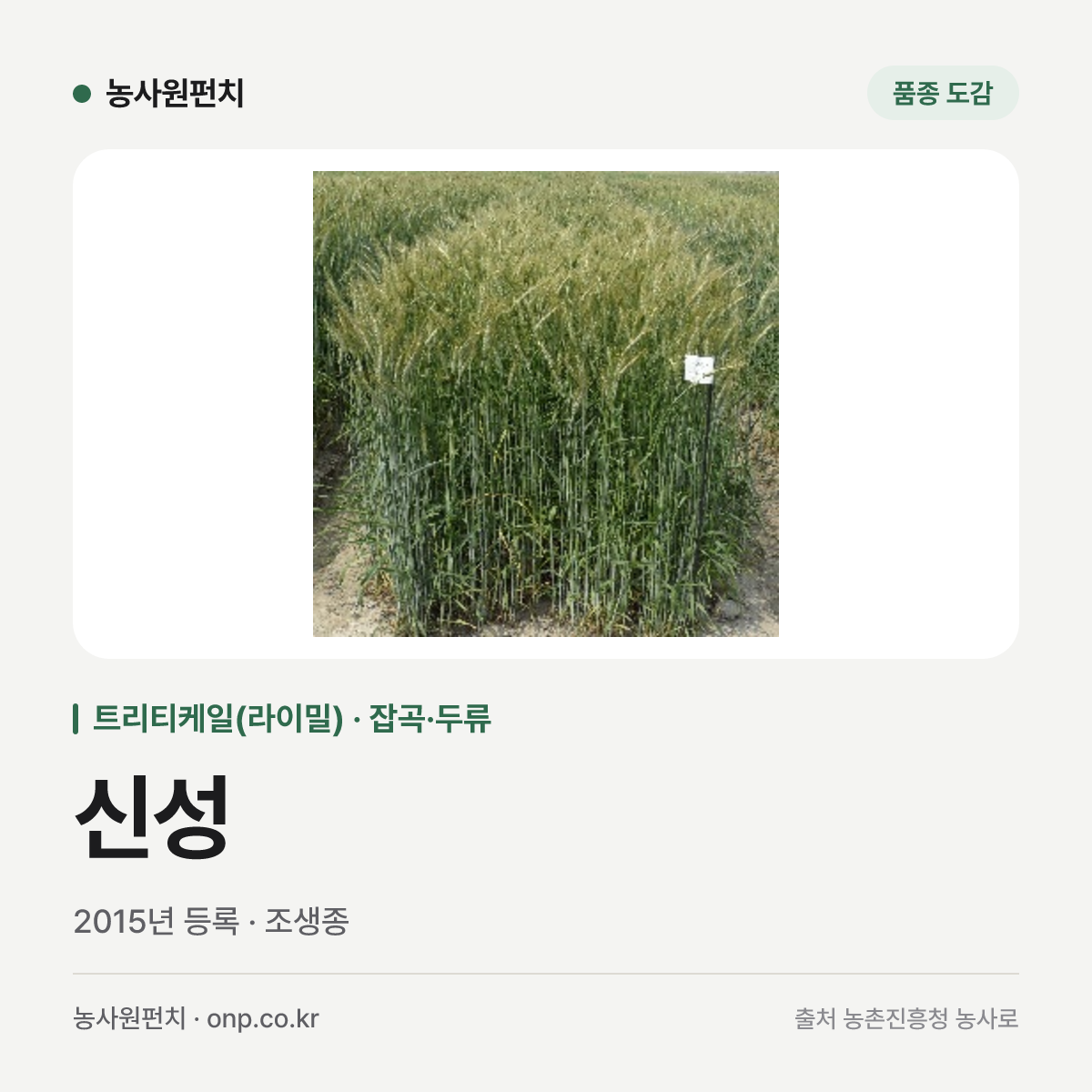 신성