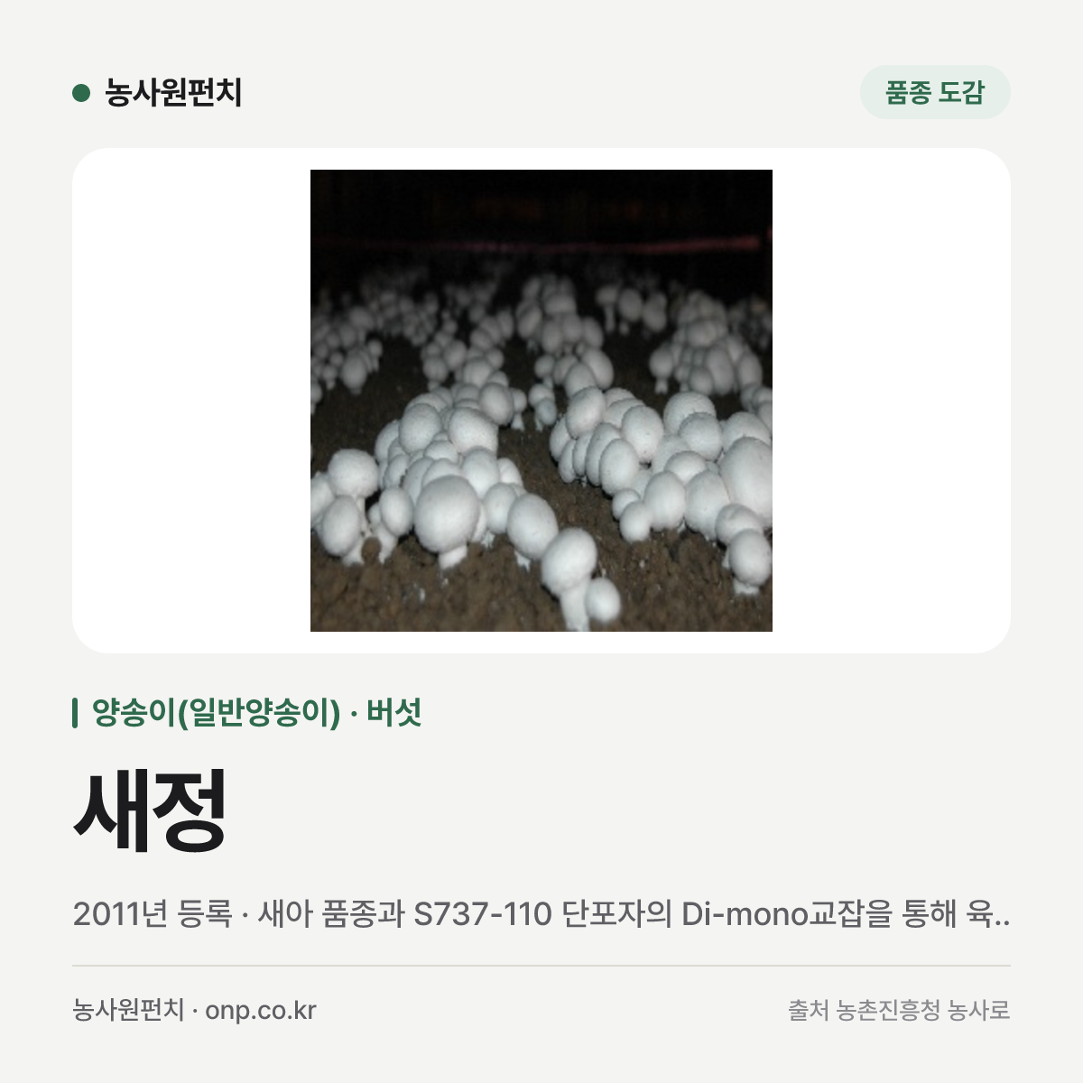 새정