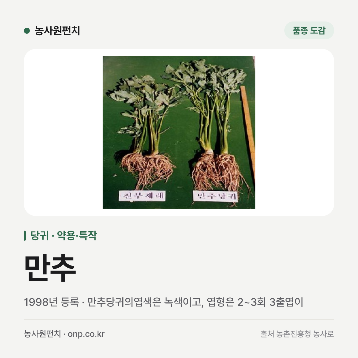만추