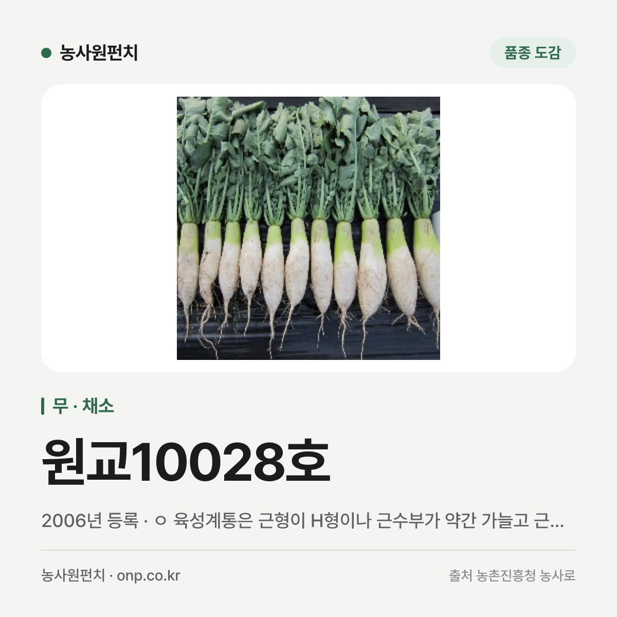 원교10028호