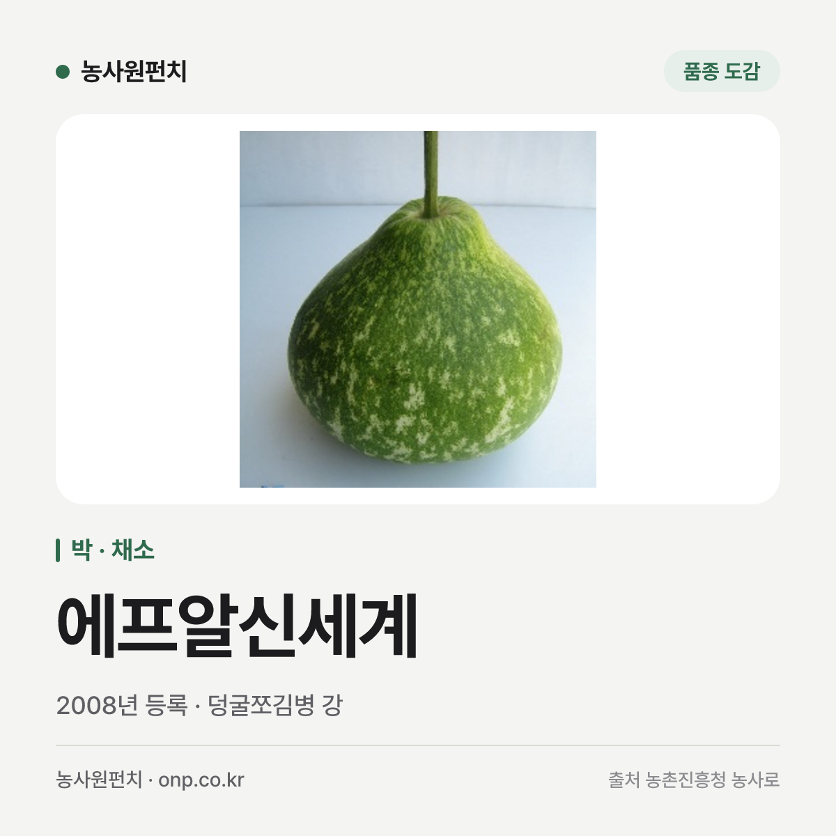에프알신세계