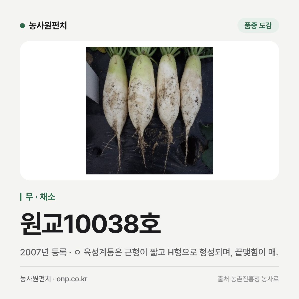 원교10038호