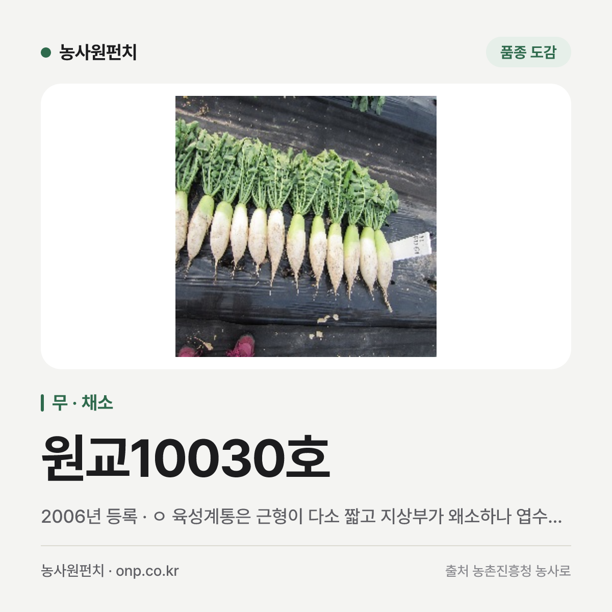 원교10030호