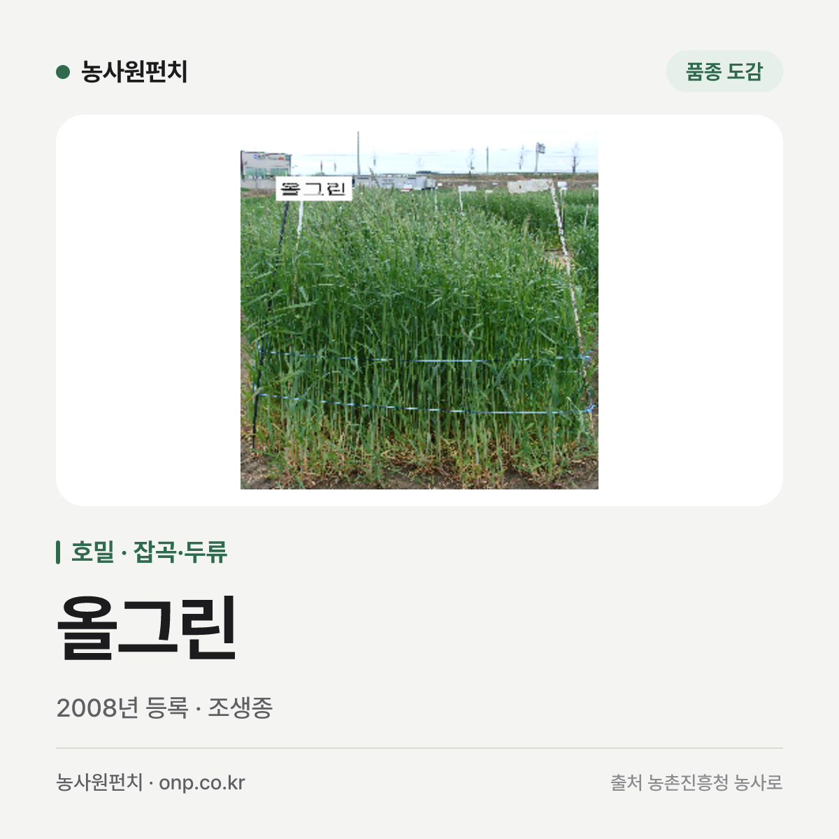 올그린