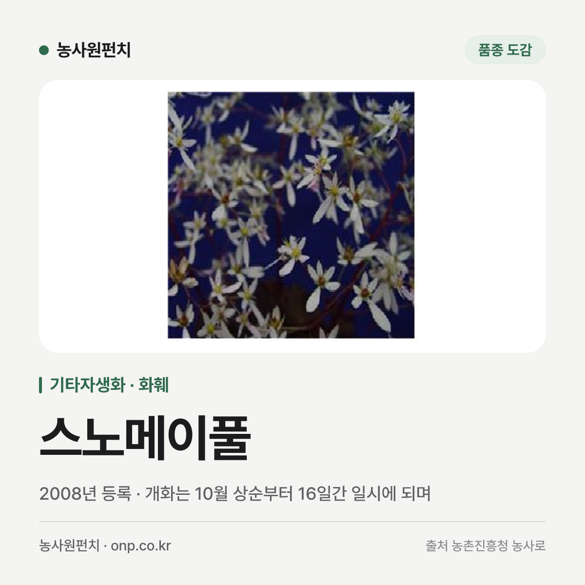 스노메이풀