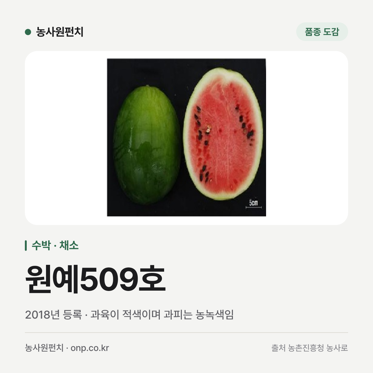 원예509호