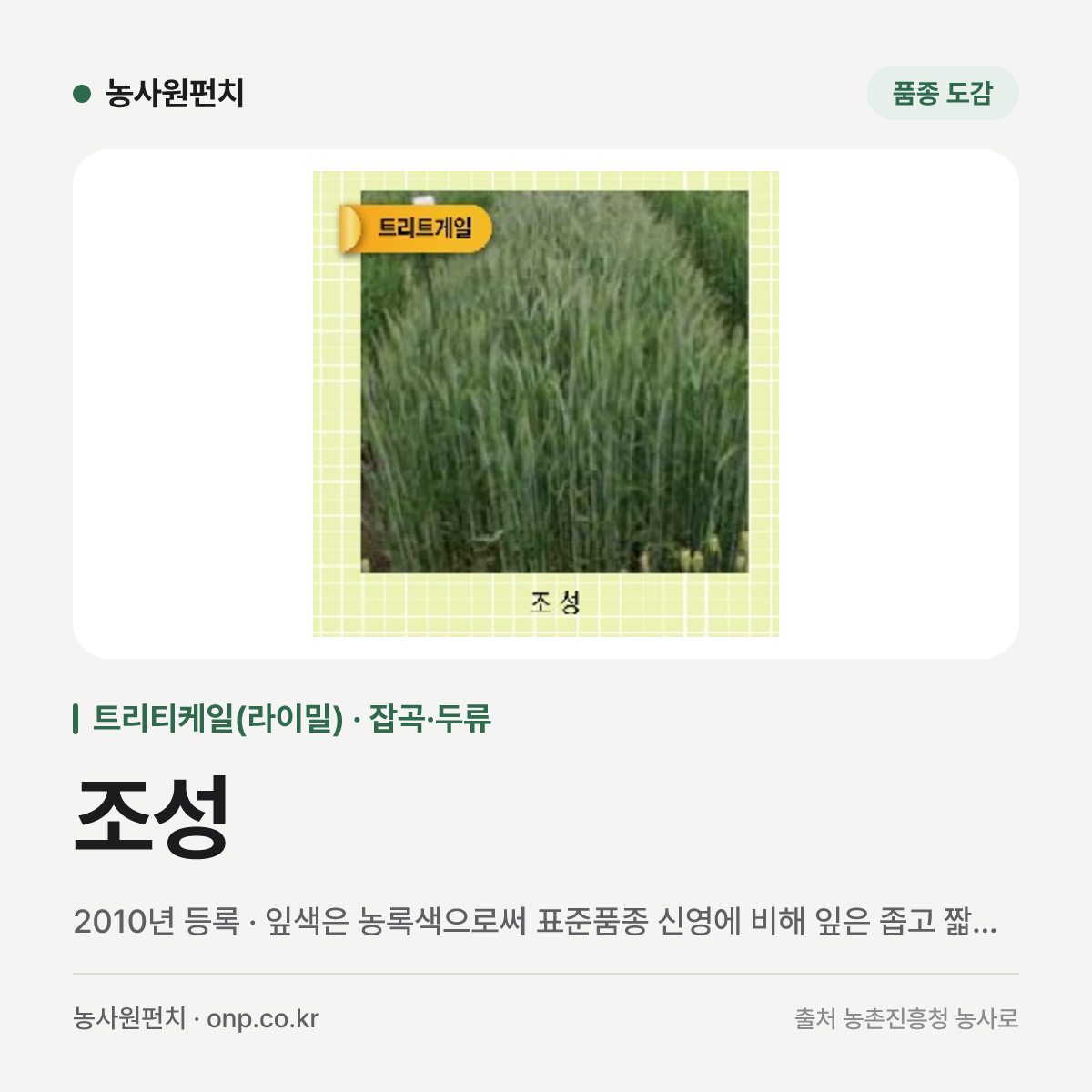 조성