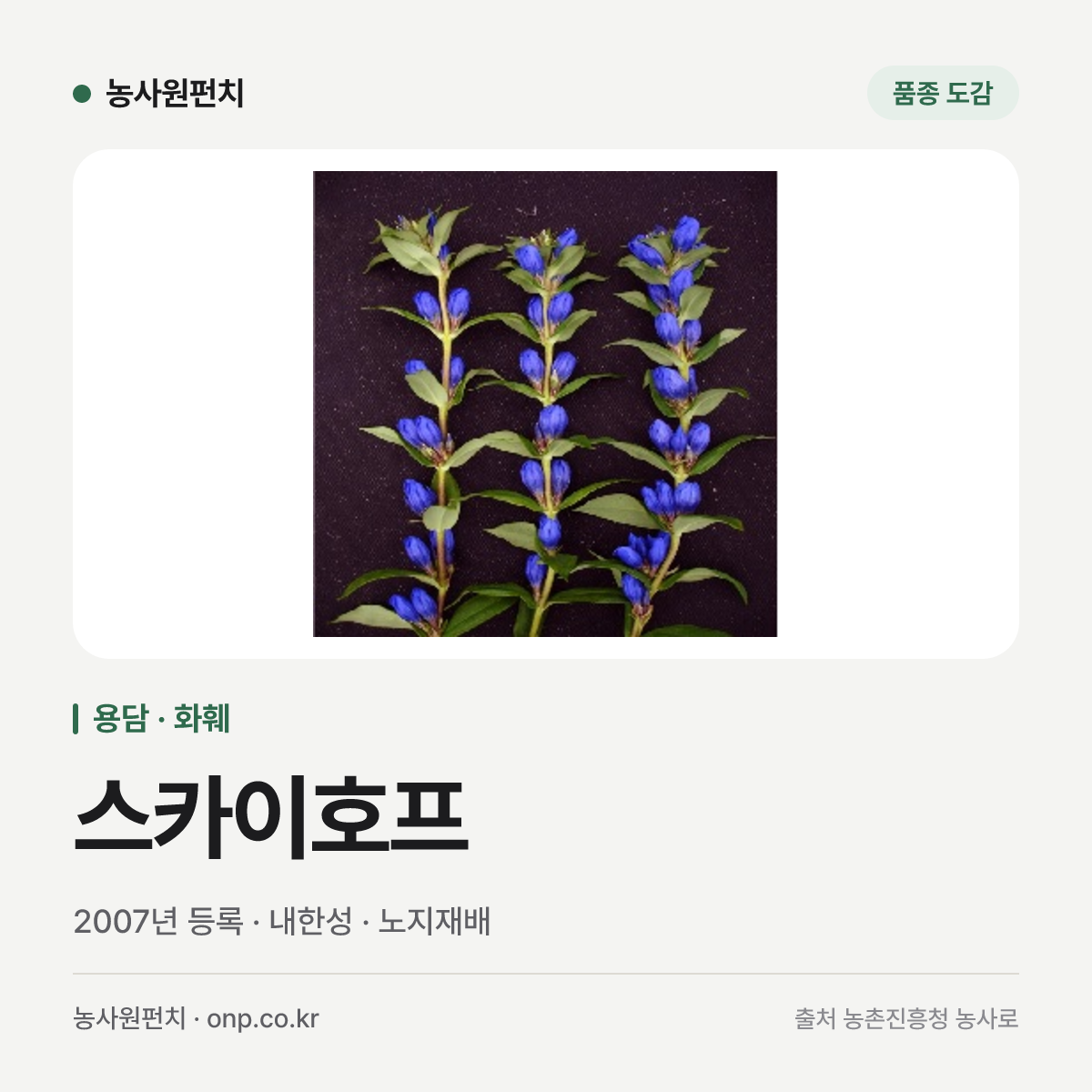 스카이호프