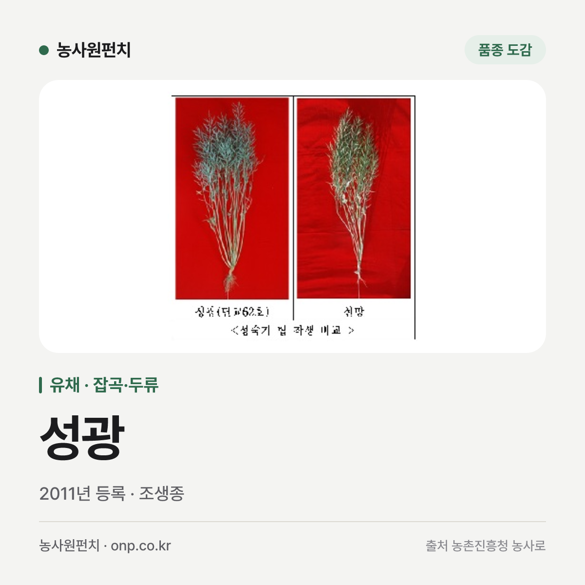 성광