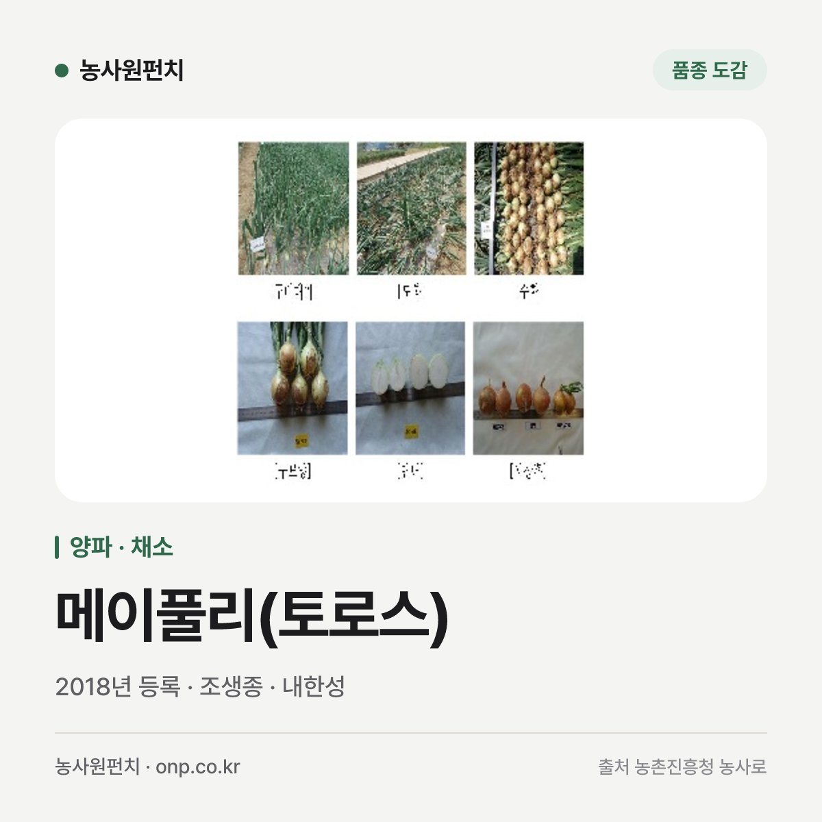 메이풀리(토로스)