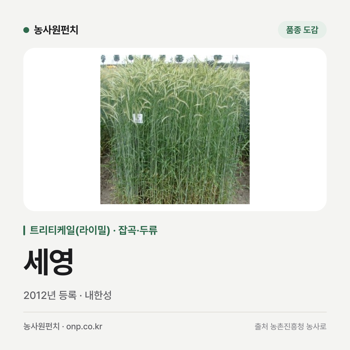세영