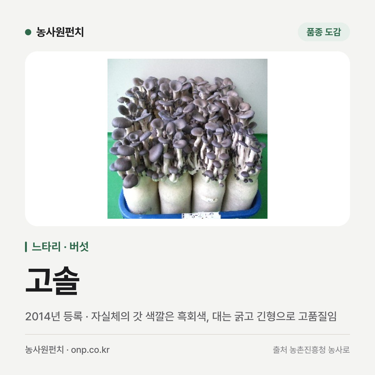 고솔