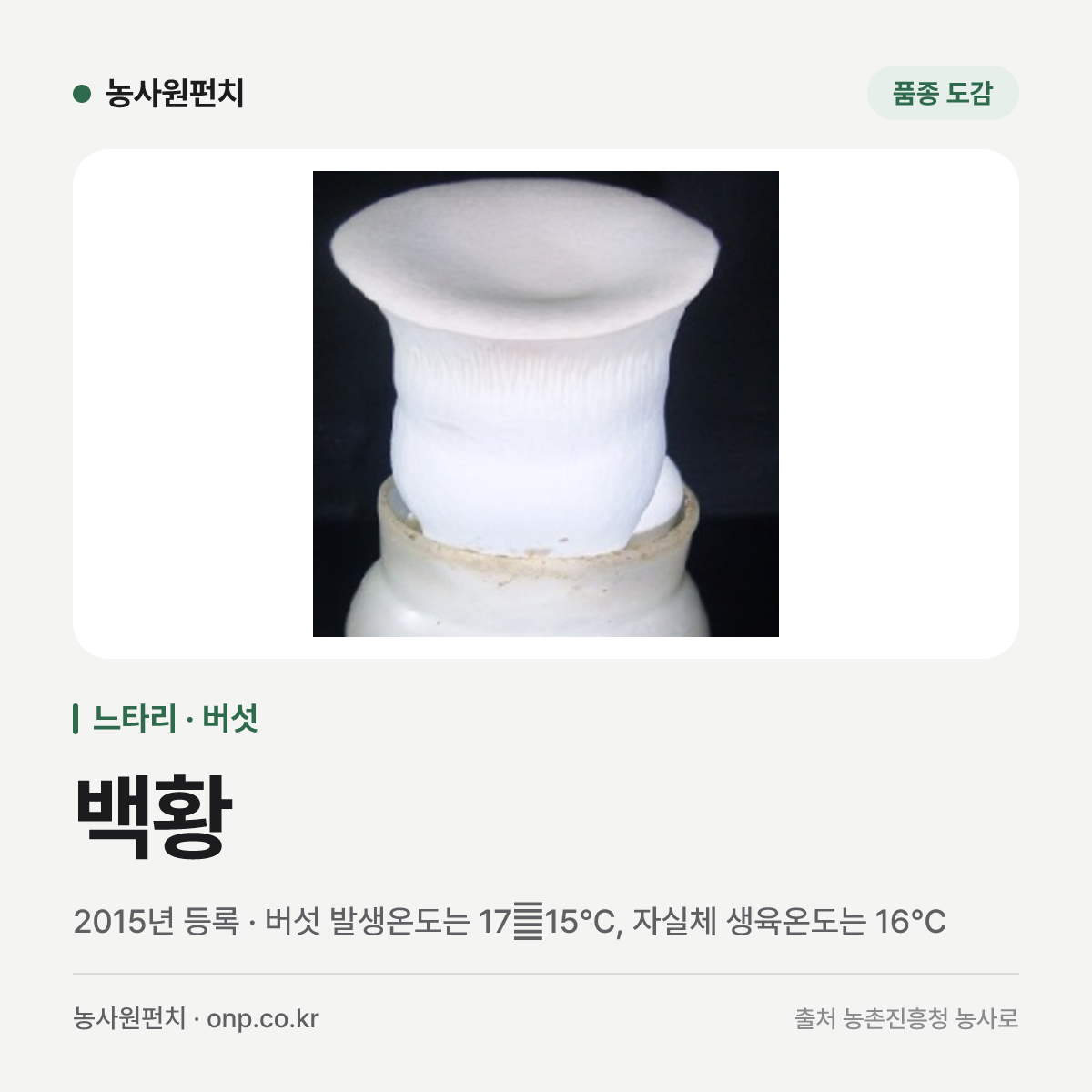 백황