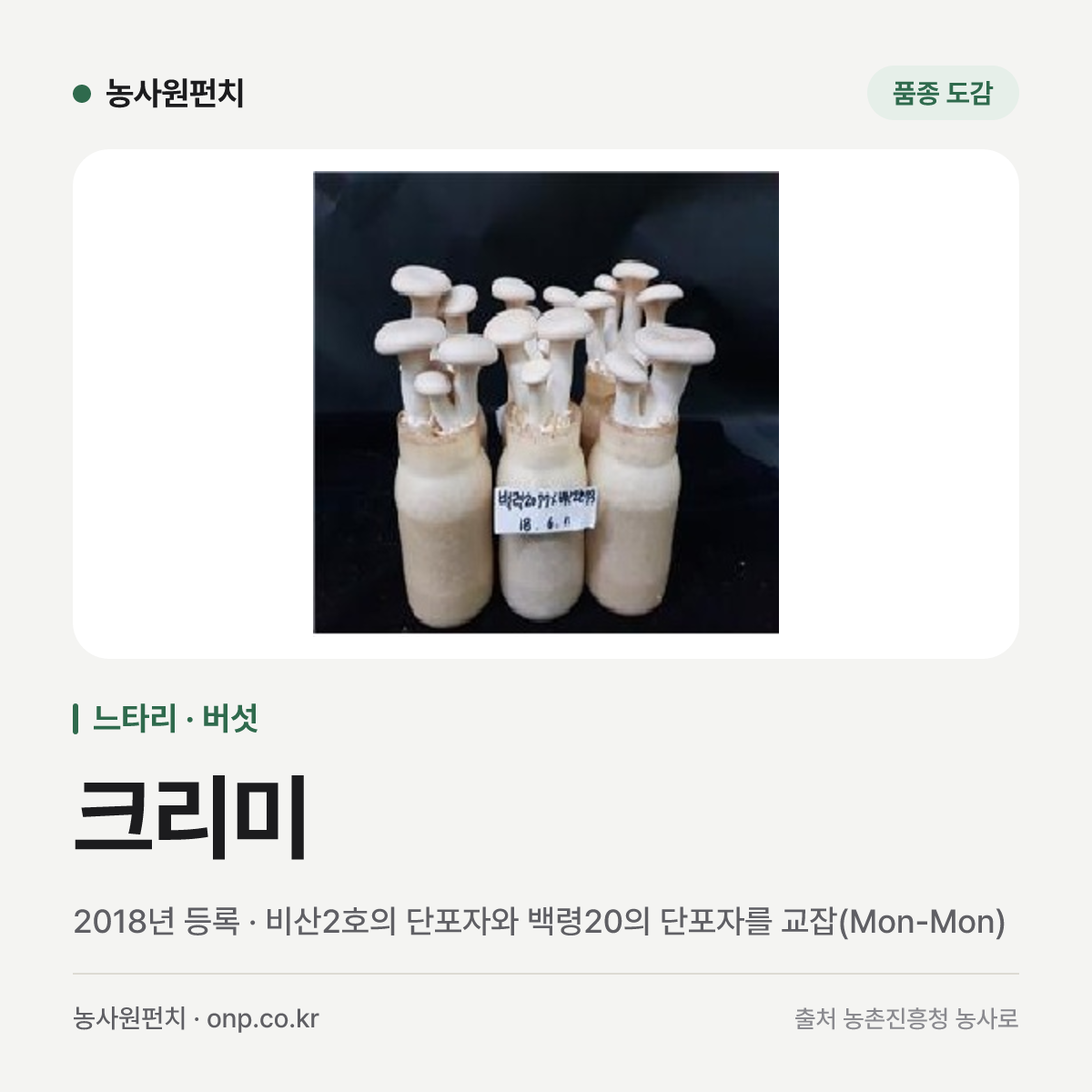 크리미
