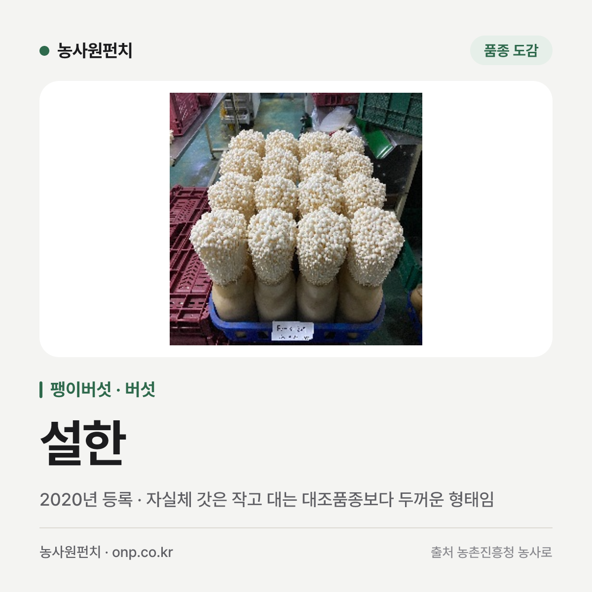 설한