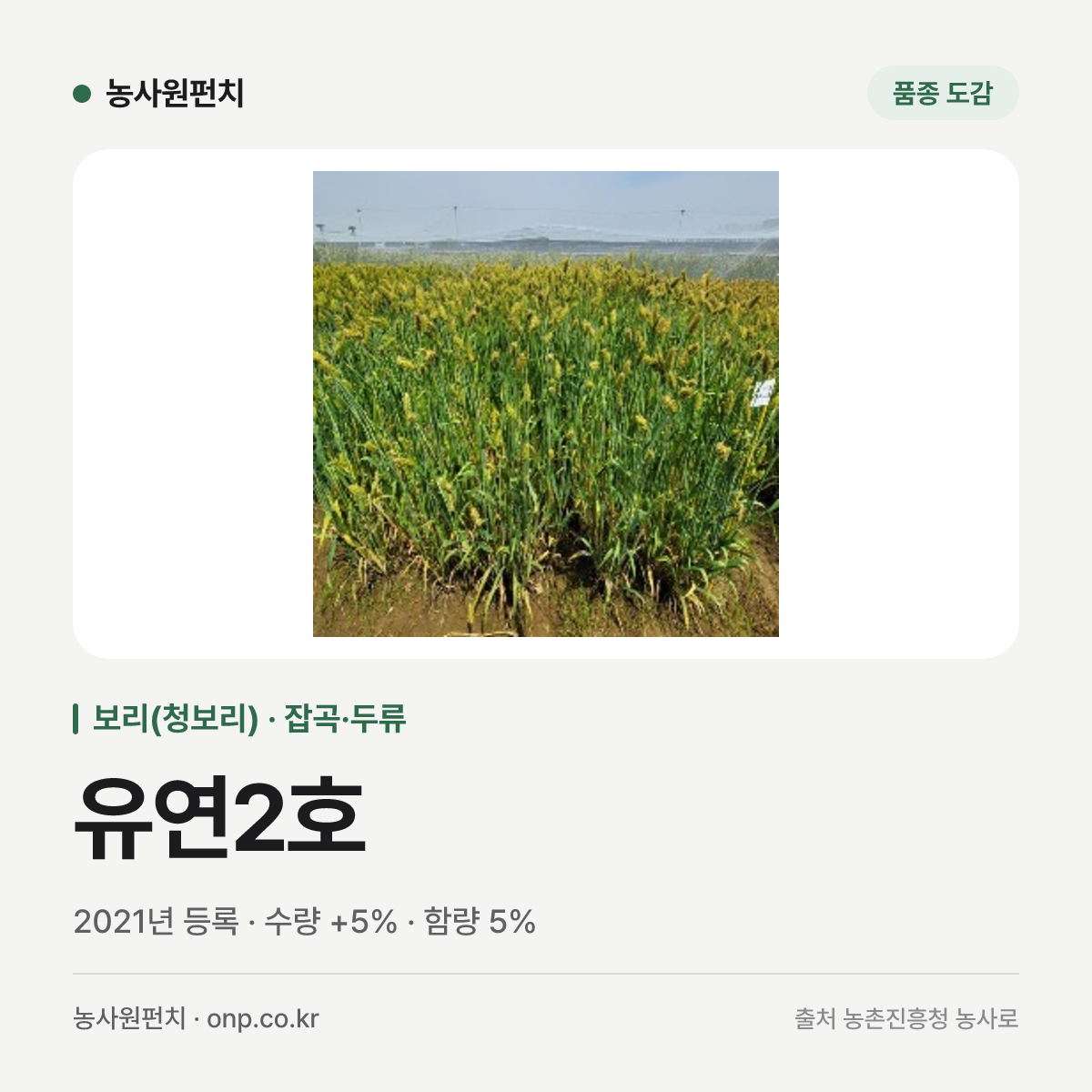유연2호
