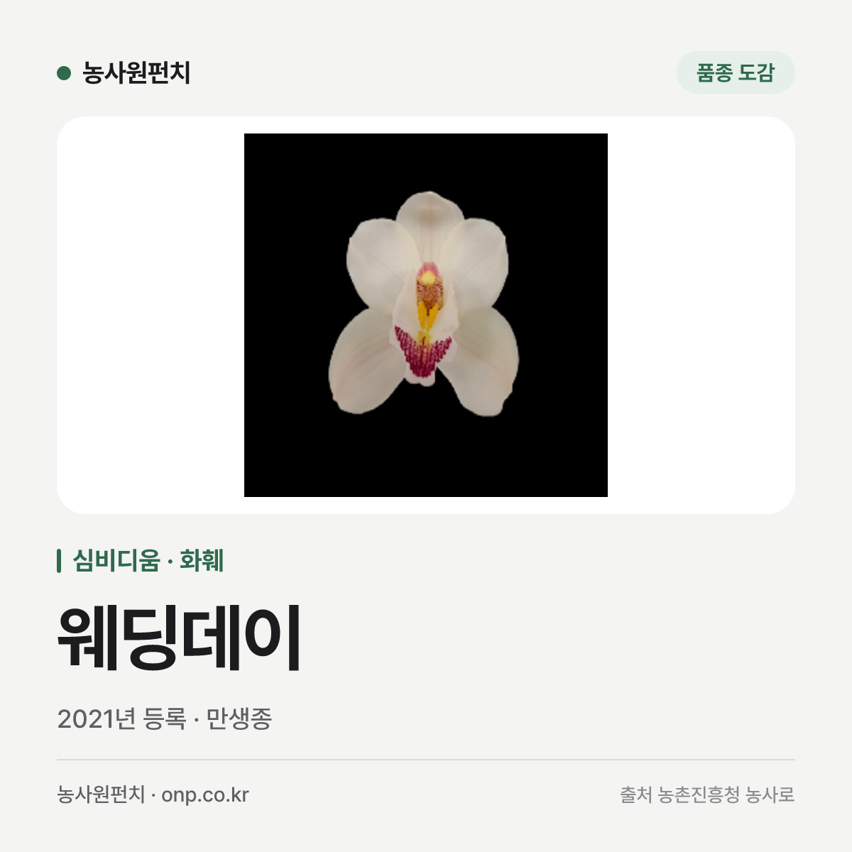 웨딩데이