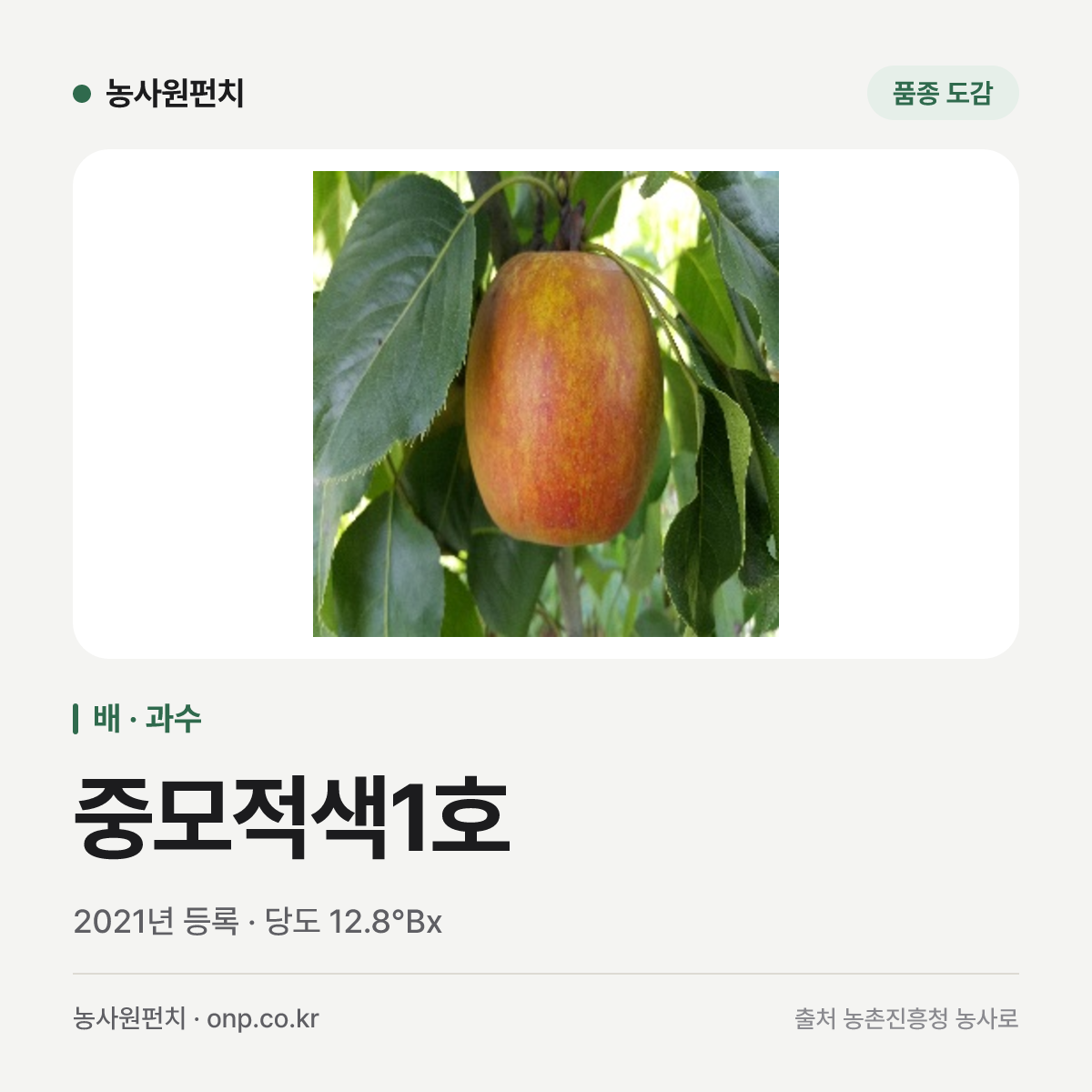 중모적색1호