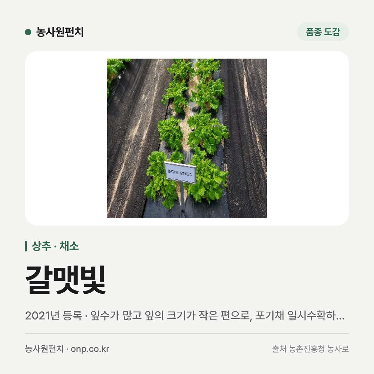 갈맷빛