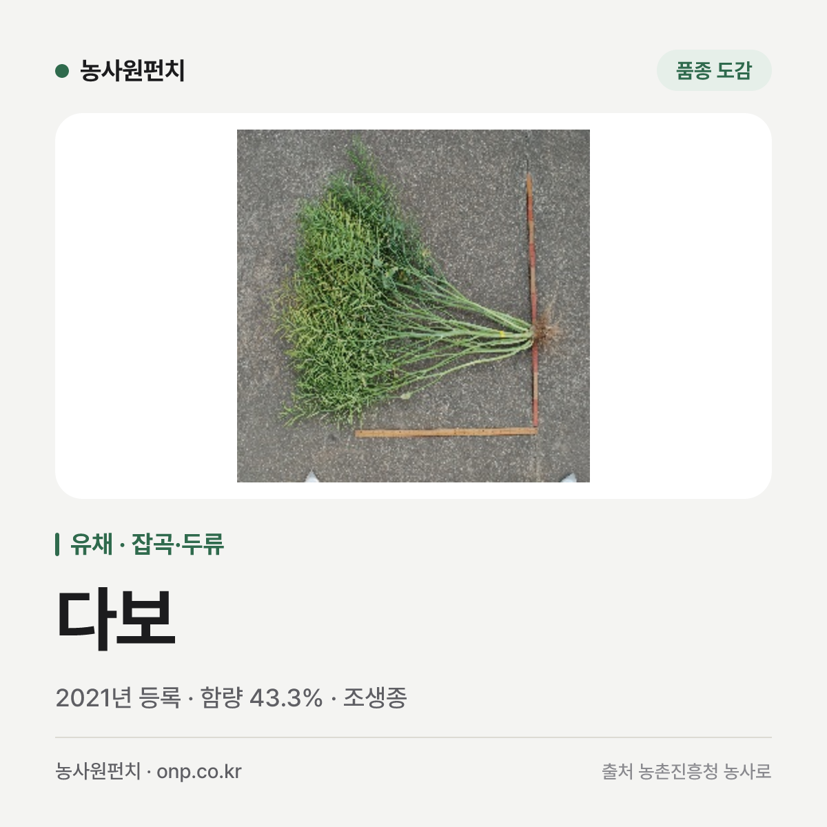 다보