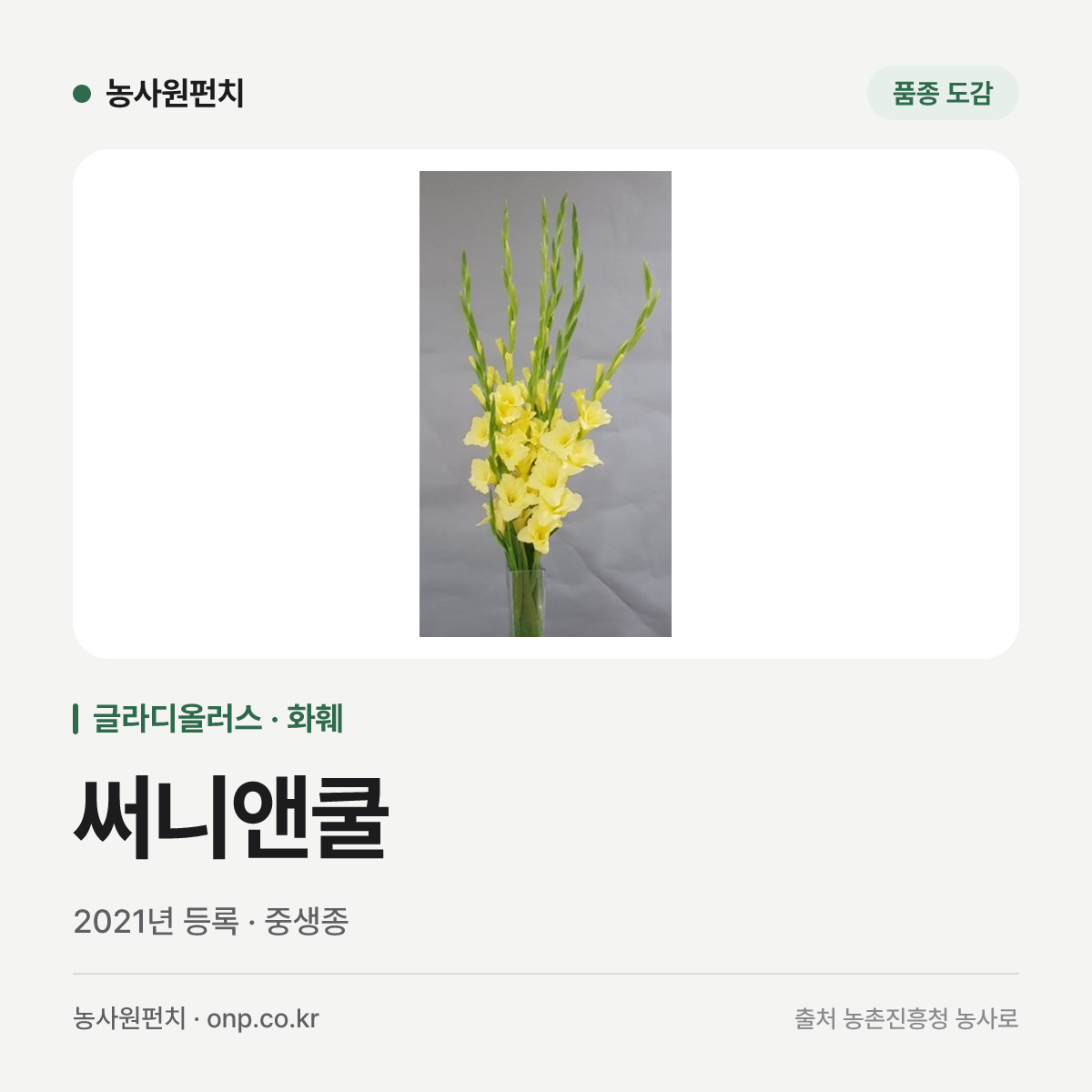 써니앤쿨