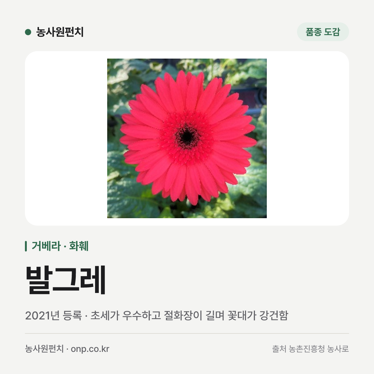 발그레