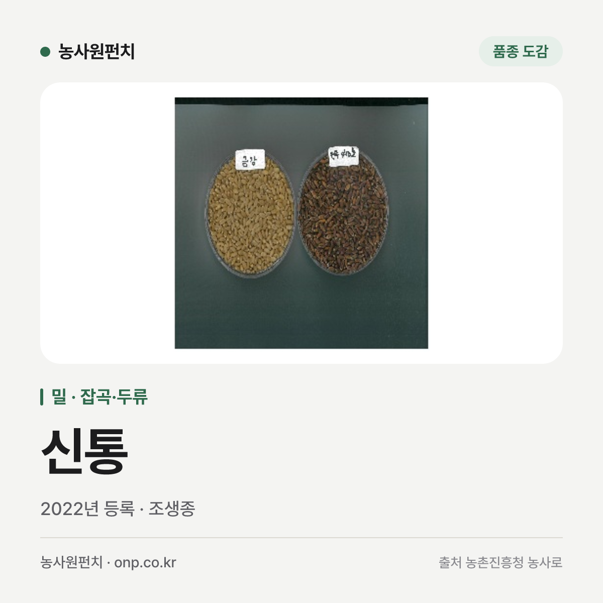 신통