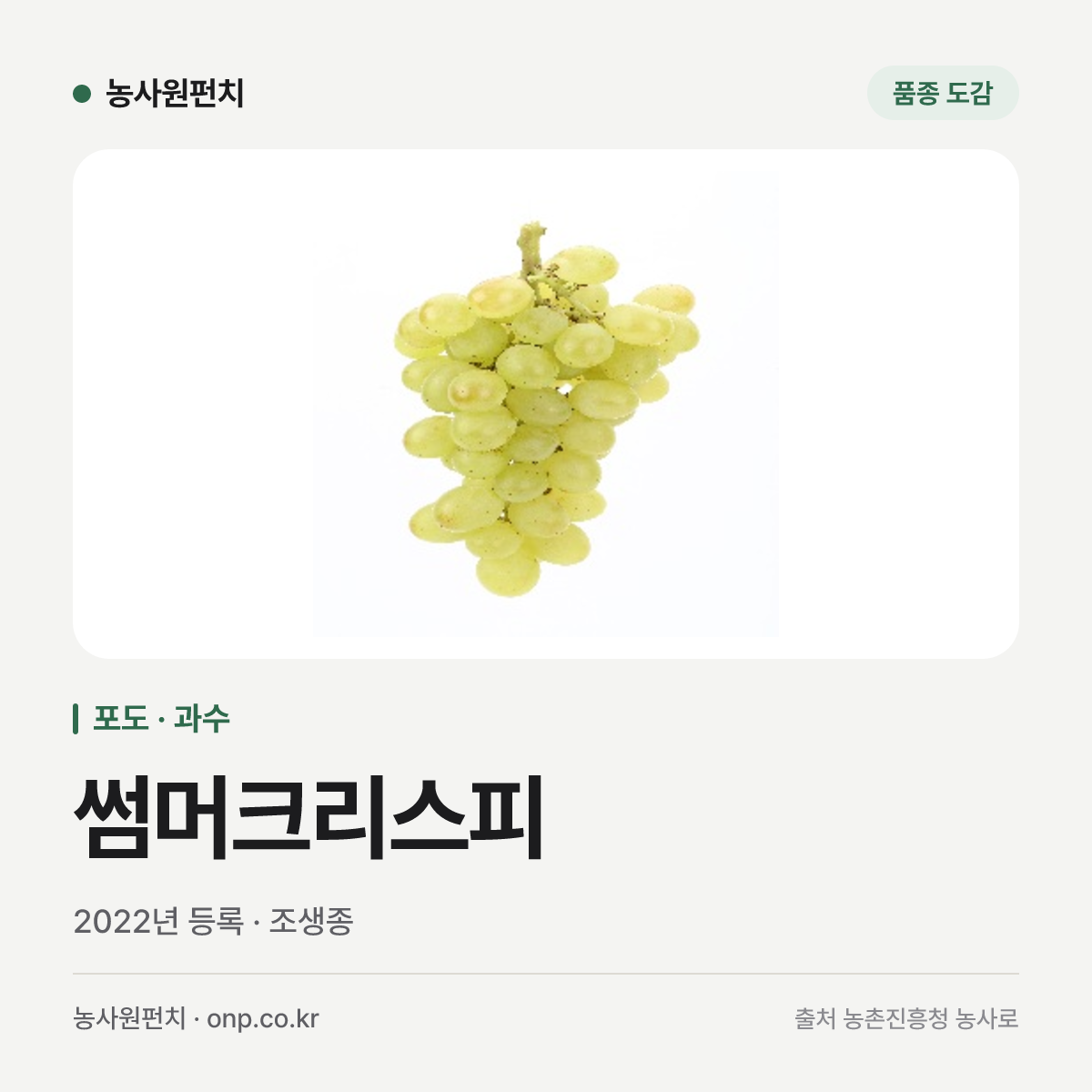 썸머크리스피
