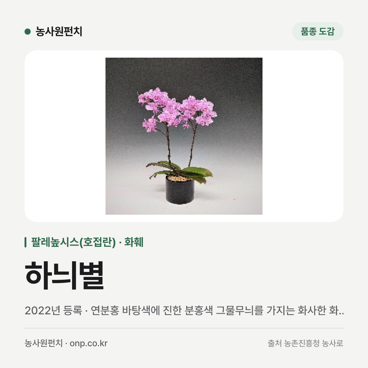 하늬별