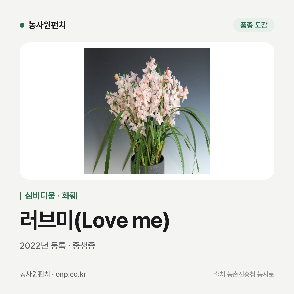 러브미(Love me)