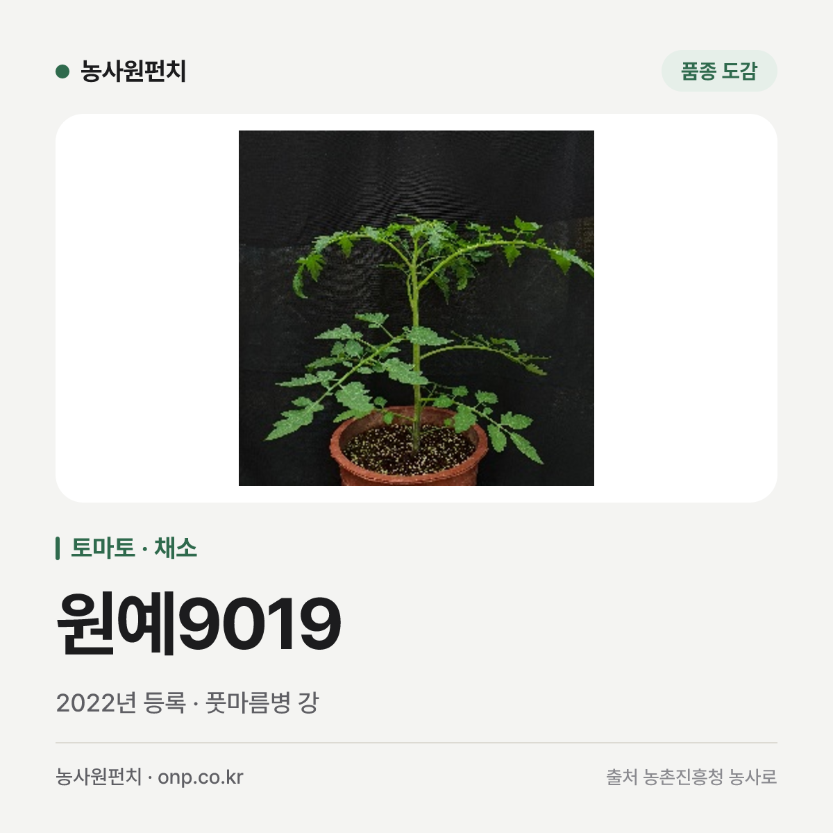 원예9019