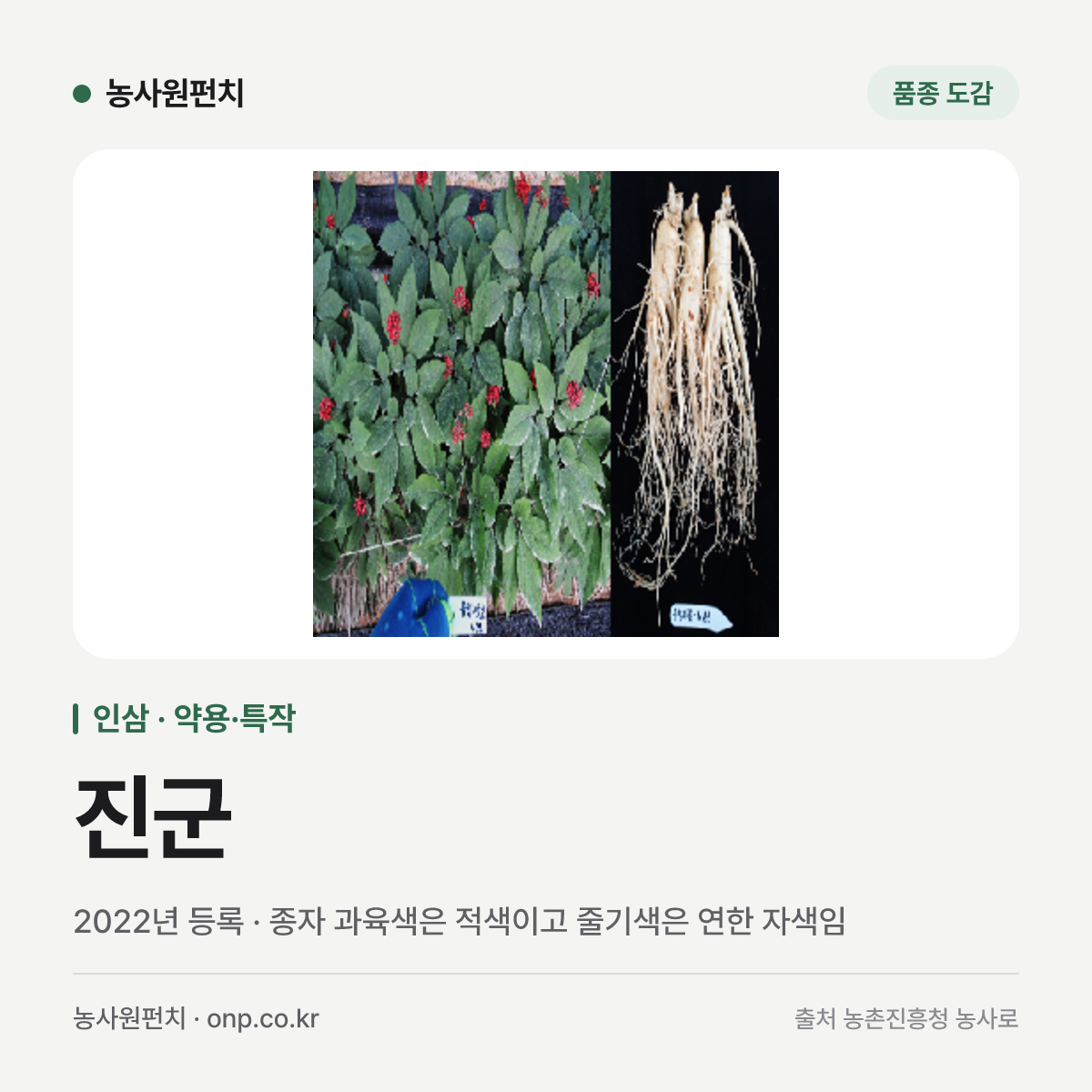 진군
