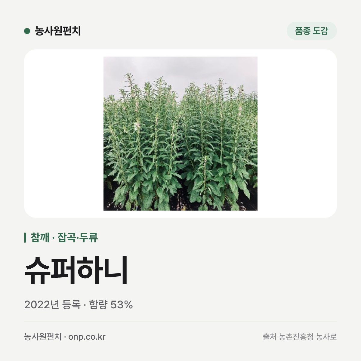 슈퍼하니
