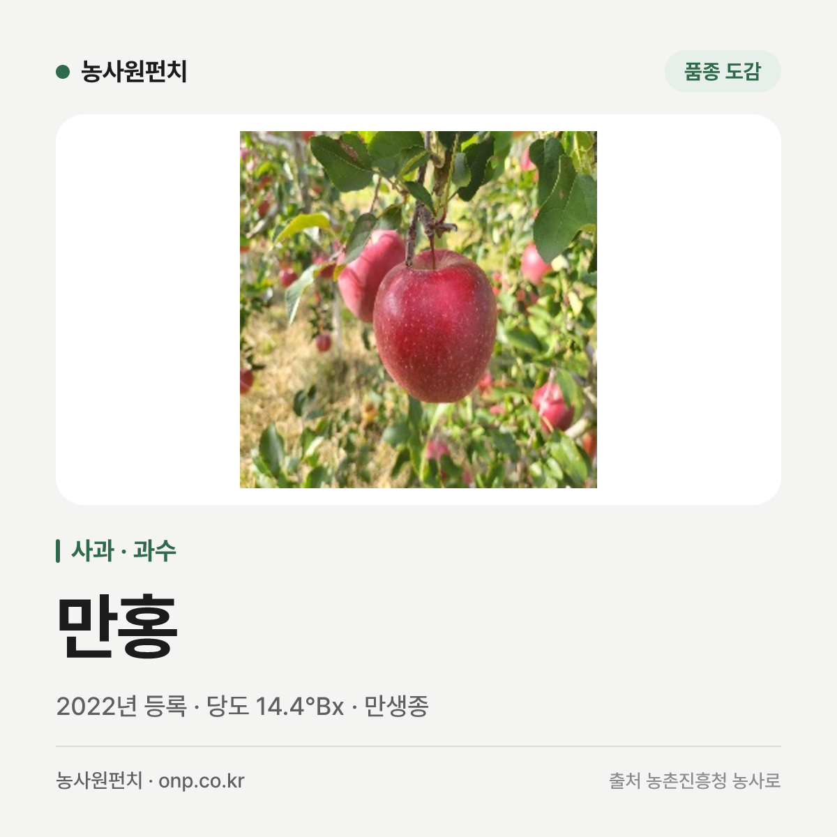 만홍