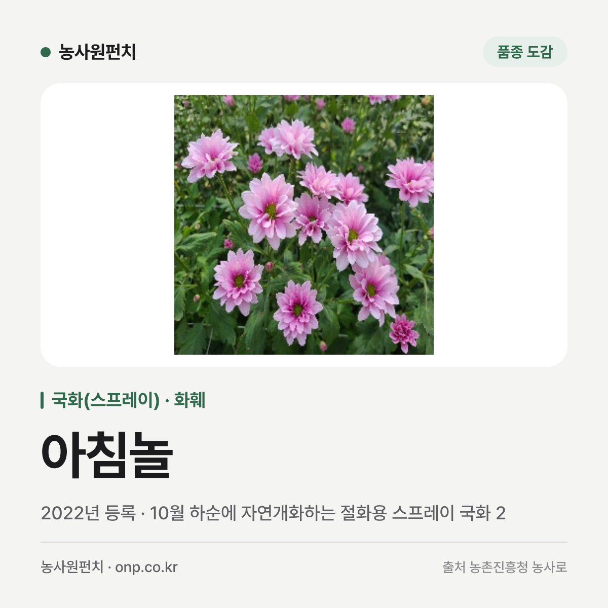 아침놀