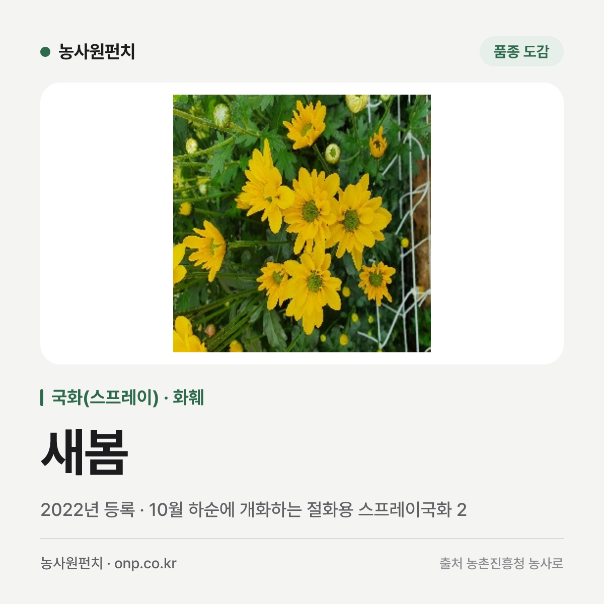 새봄