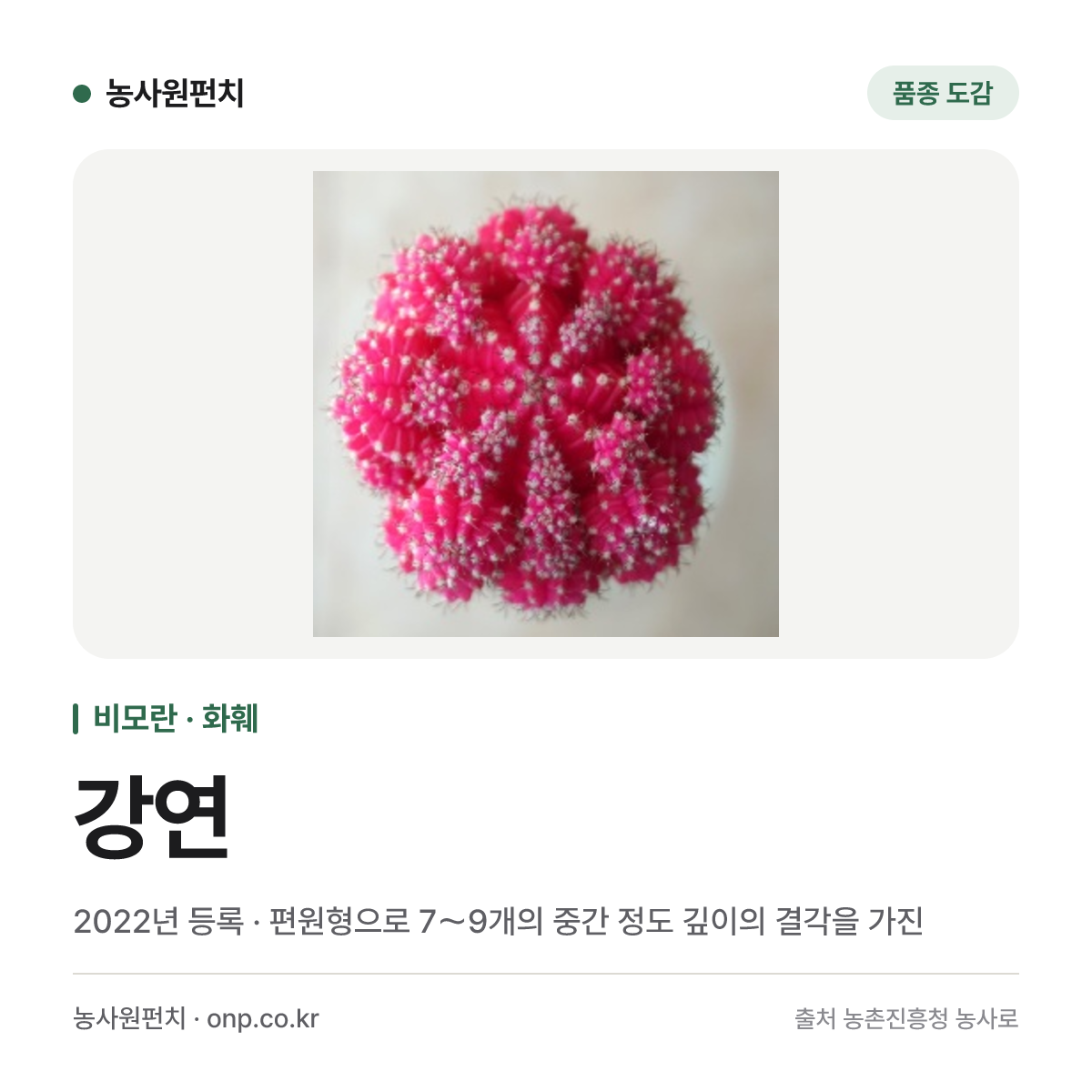 강연