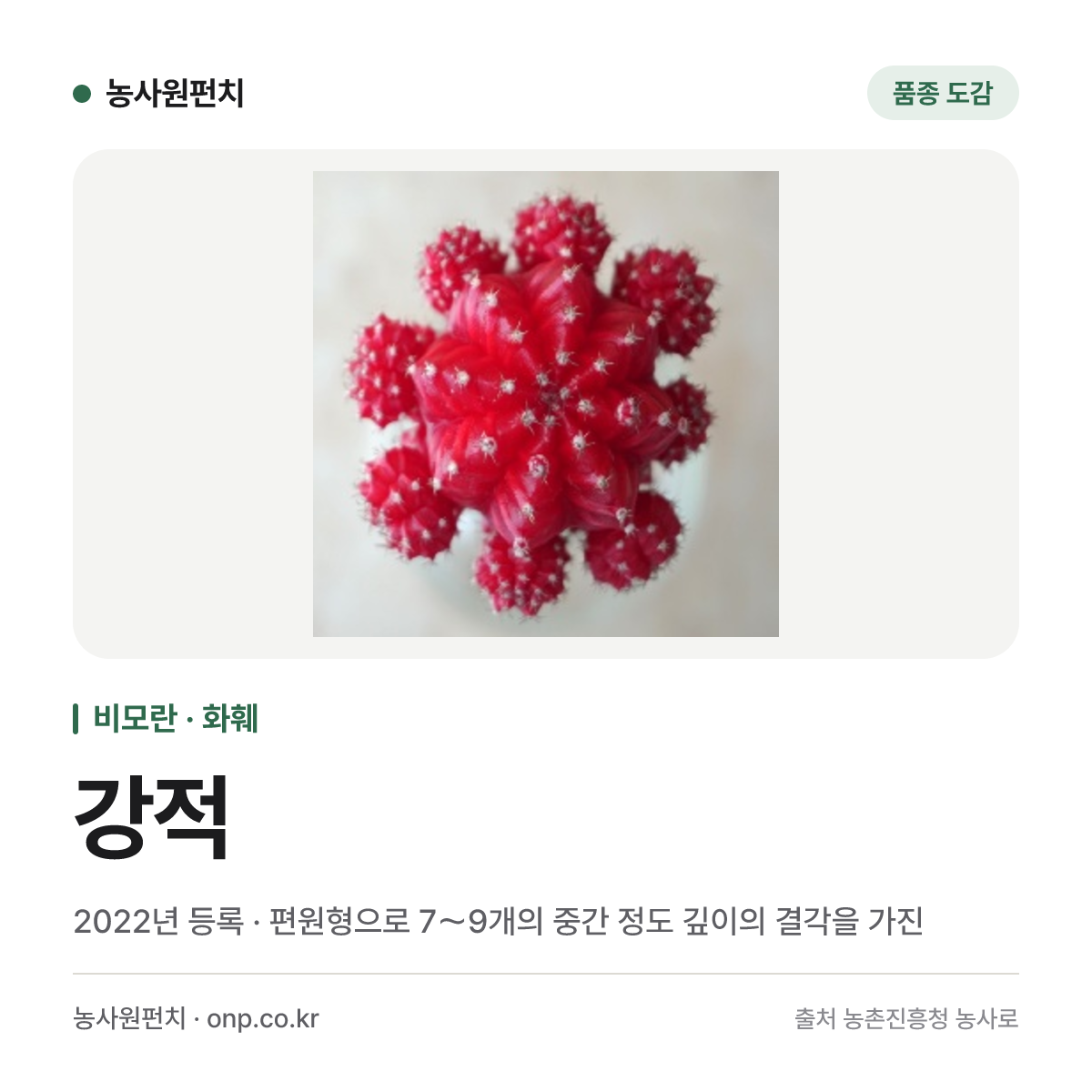 강적