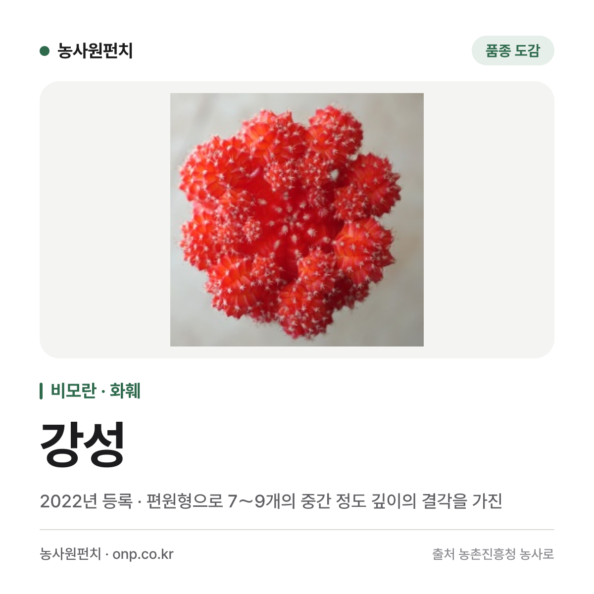 강성