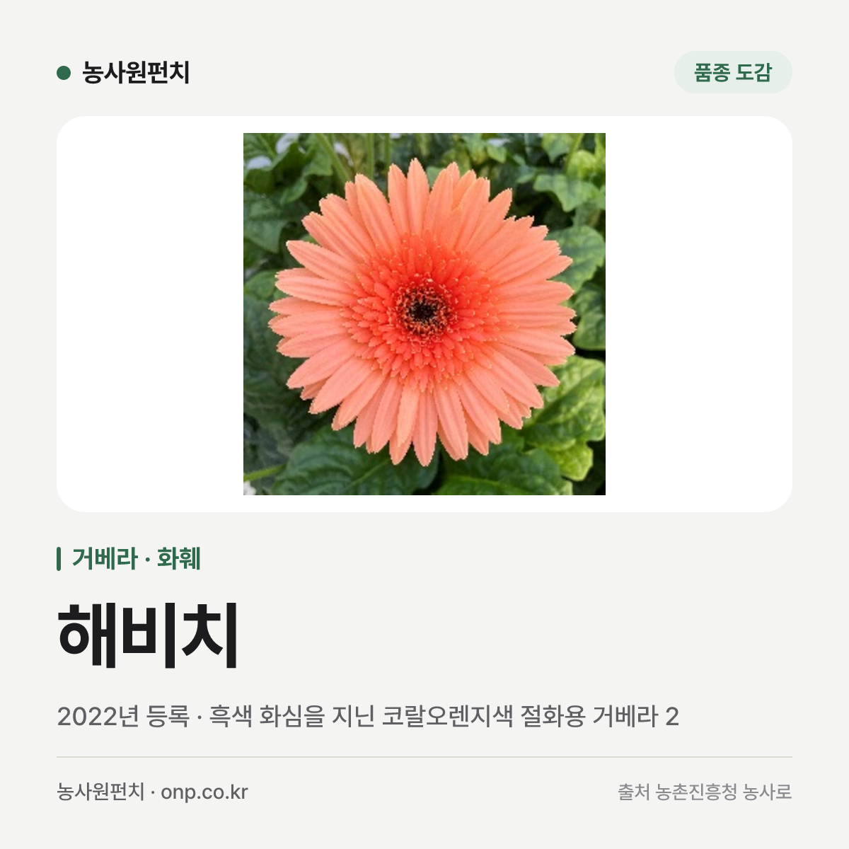 해비치
