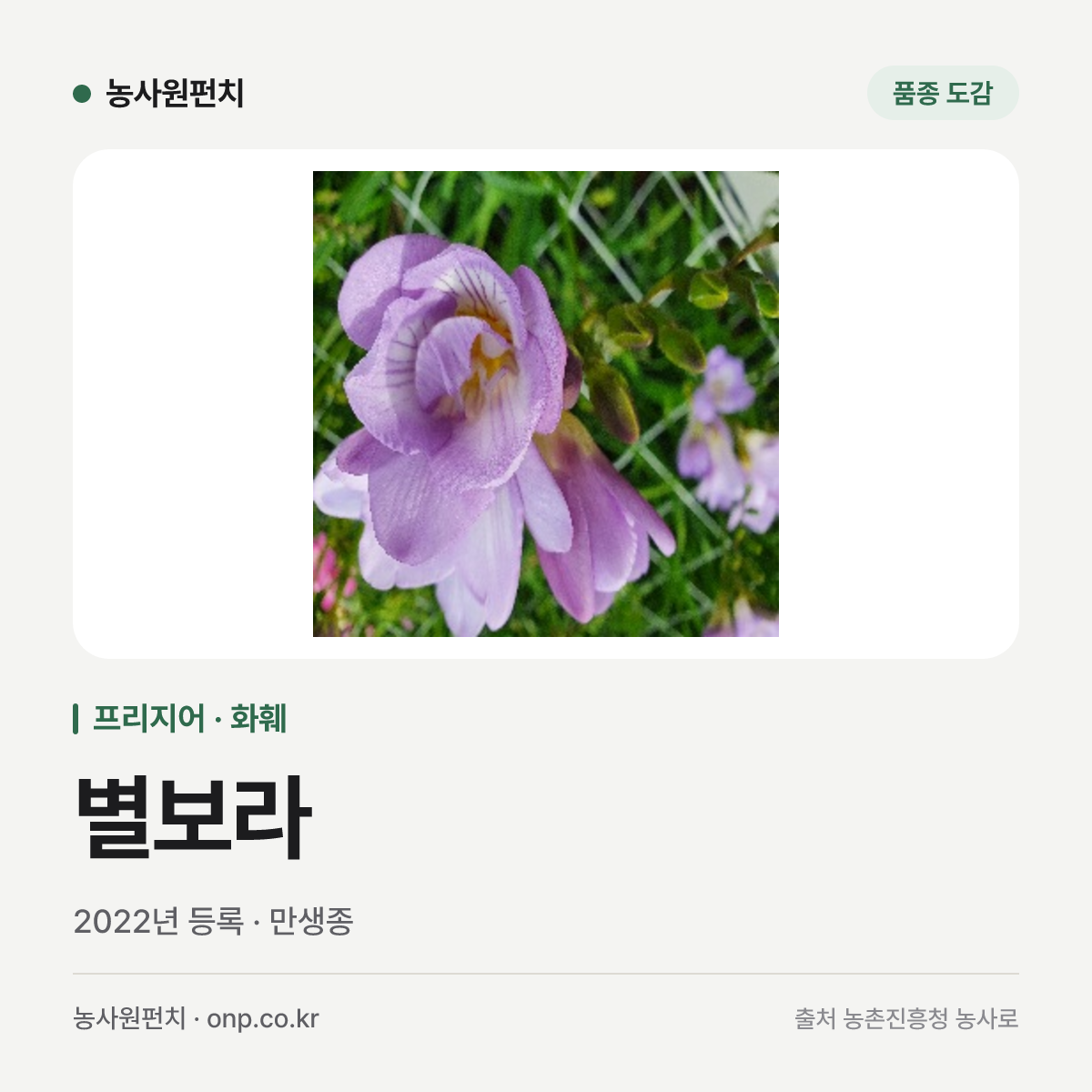 별보라