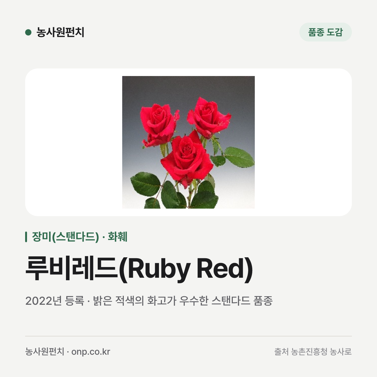루비레드(Ruby Red)