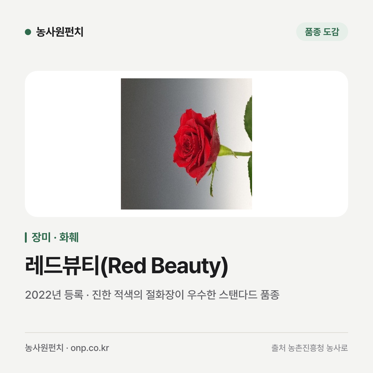레드뷰티(Red Beauty)