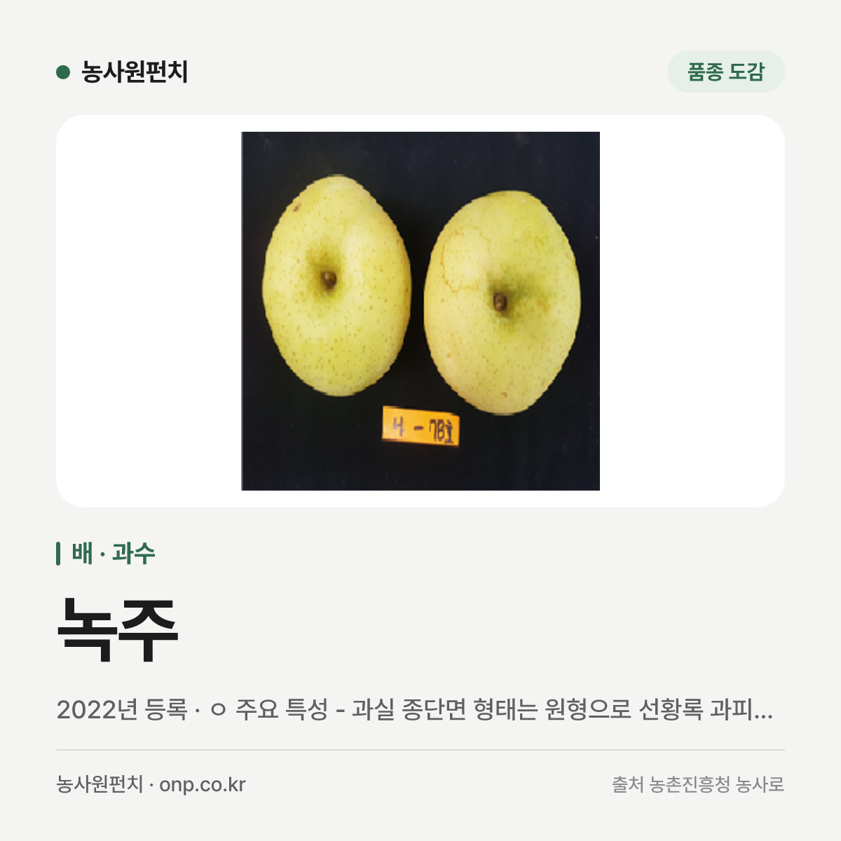 녹주
